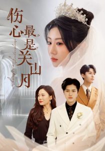 伤心最是关山月